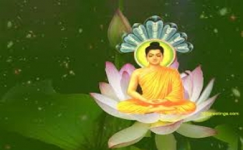 Oan trái trong cuộc đời